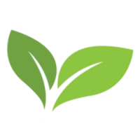 Image Title Alt Image